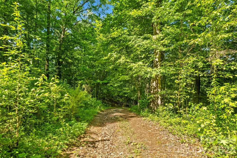 711 Spring Pointe Drive Stony Point, NC 28678