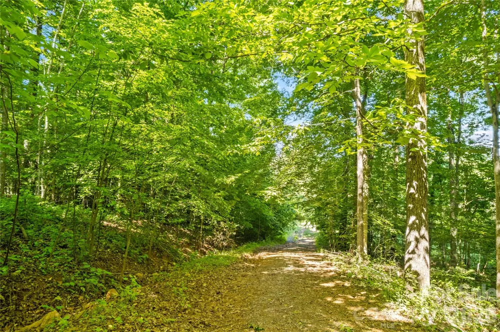 711 Spring Pointe Drive Stony Point, NC 28678