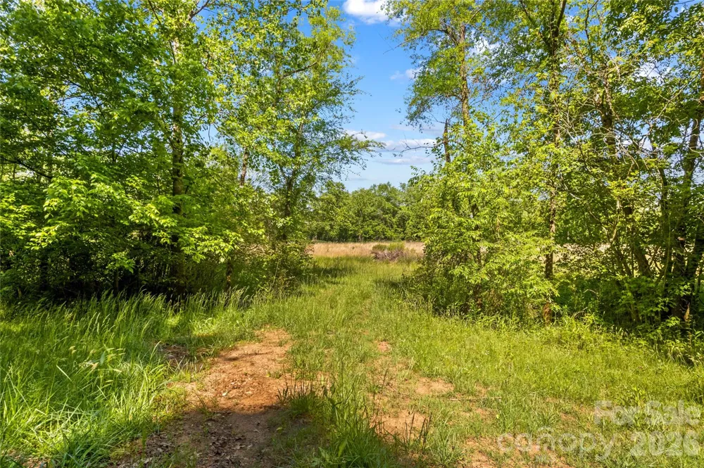 711 Spring Pointe Drive Stony Point, NC 28678