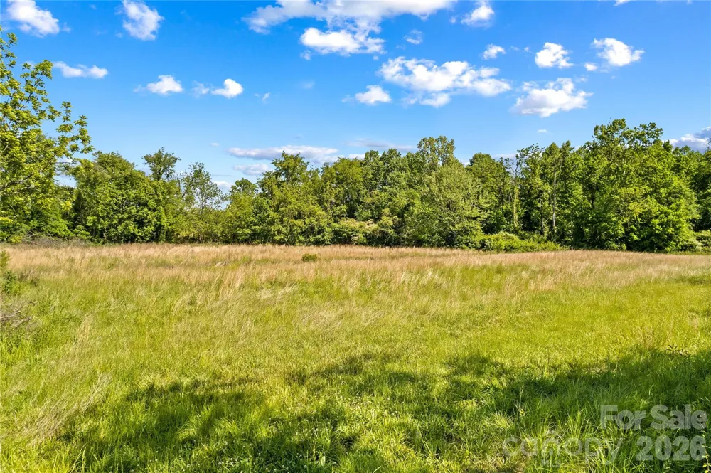 711 Spring Pointe Drive Stony Point, NC 28678