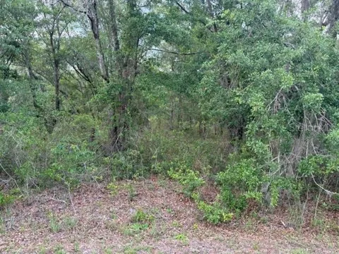 21902 NE 69TH PLACE