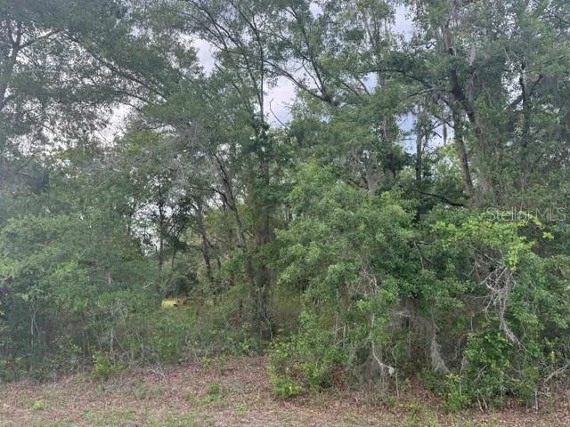 21902 NE 69TH PLACE Melrose, FL 32666
