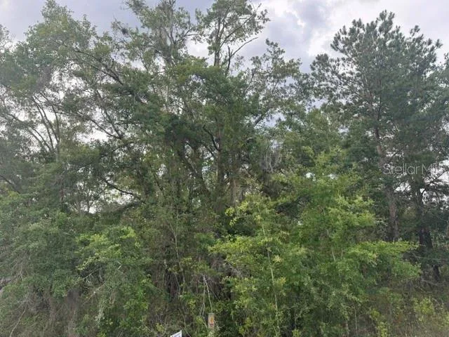 21902 NE 69TH PLACE Melrose, FL 32666