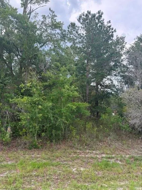 21902 NE 69TH PLACE Melrose, FL 32666