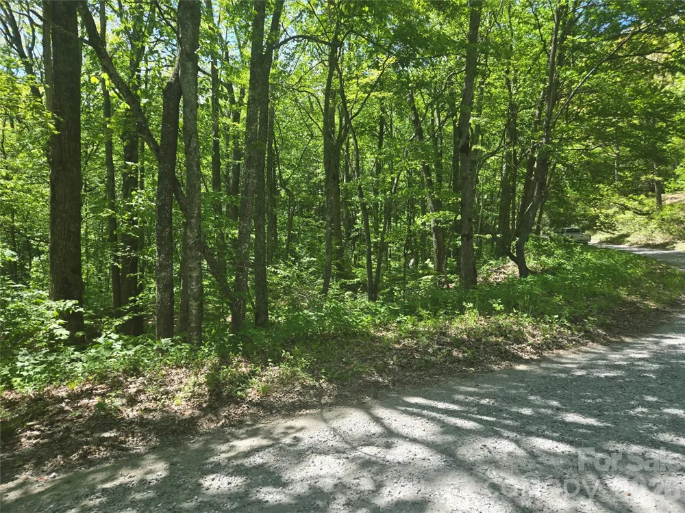 000 Greenspire Road Sylva, NC 28779