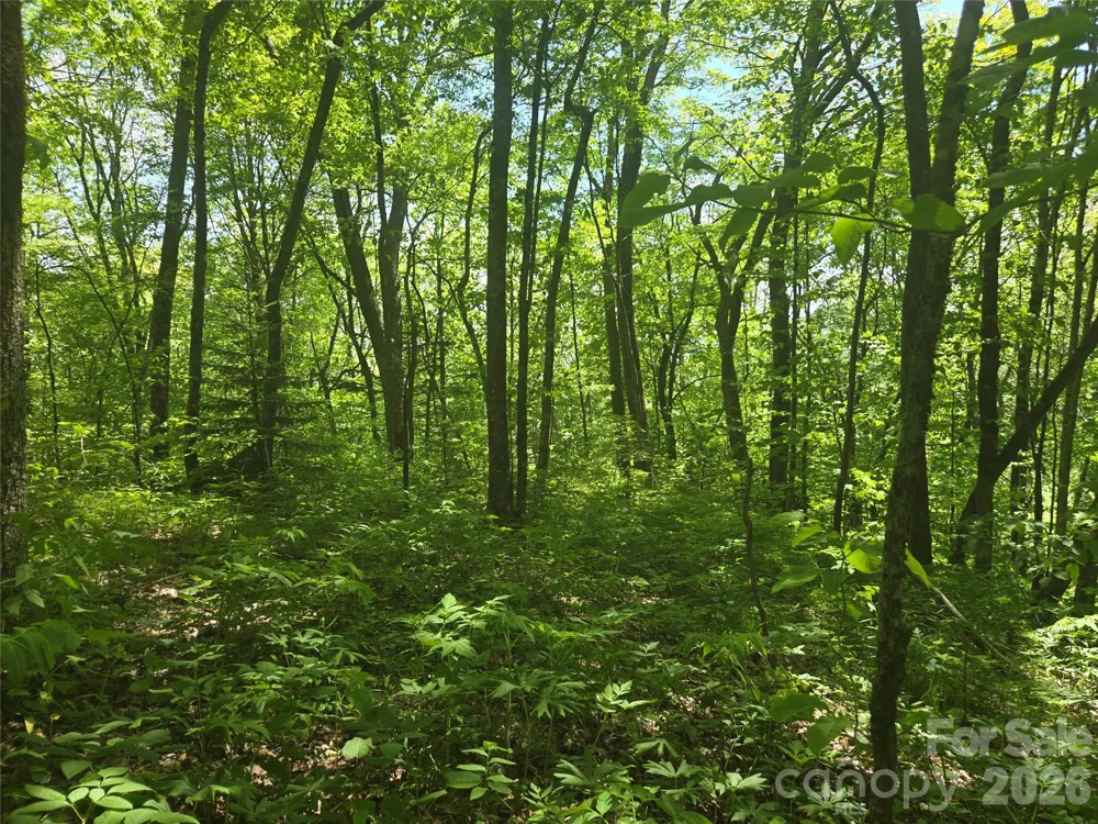 000 Greenspire Road Sylva, NC 28779