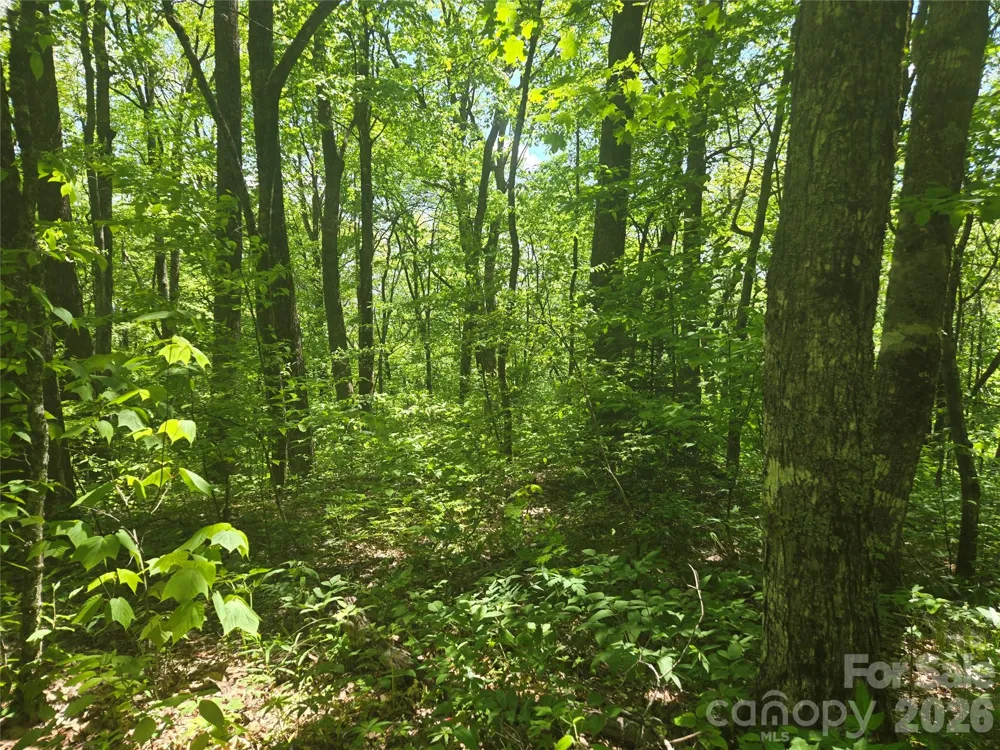 000 Greenspire Road Sylva, NC 28779