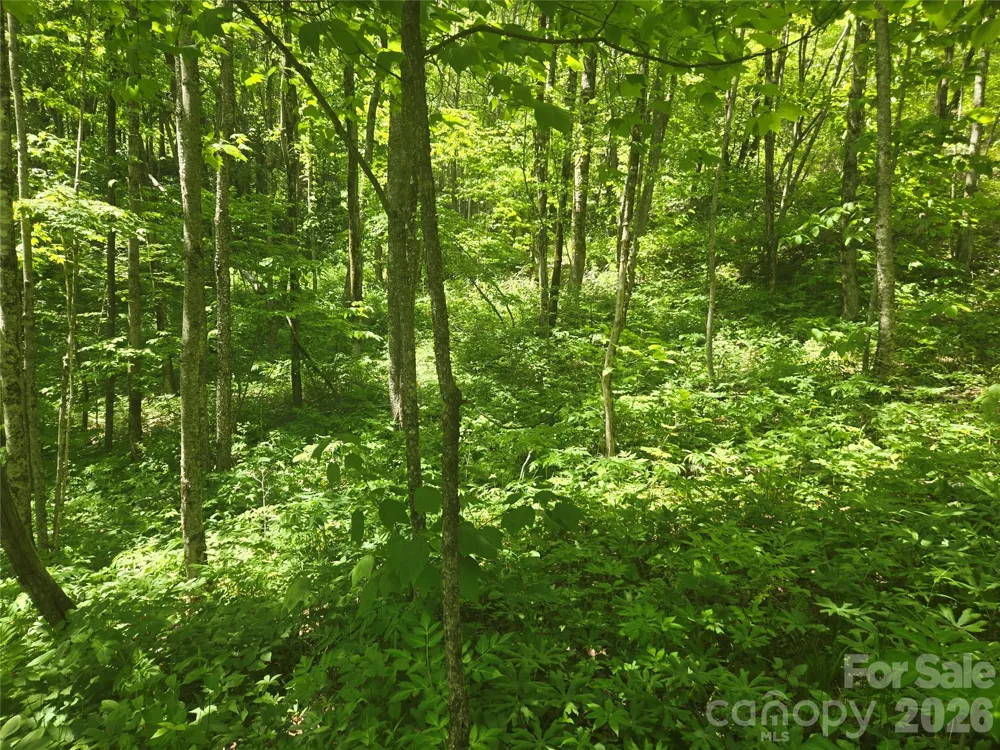 000 Greenspire Road Sylva, NC 28779