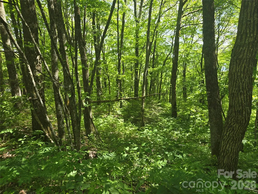 000 Greenspire Road Sylva, NC 28779