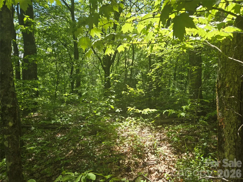 000 Greenspire Road Sylva, NC 28779