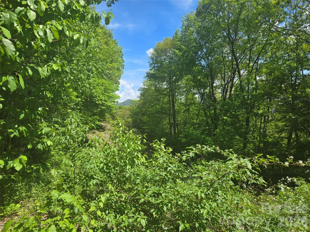 000 Greenspire Road Sylva, NC 28779