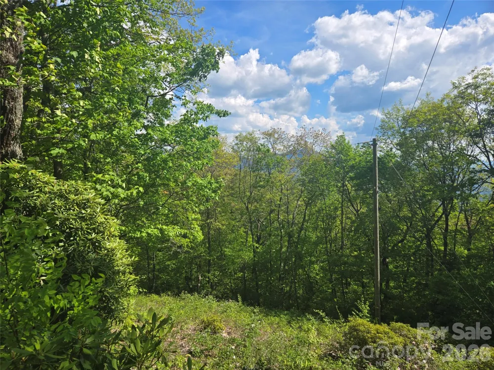 000 Greenspire Road Sylva, NC 28779
