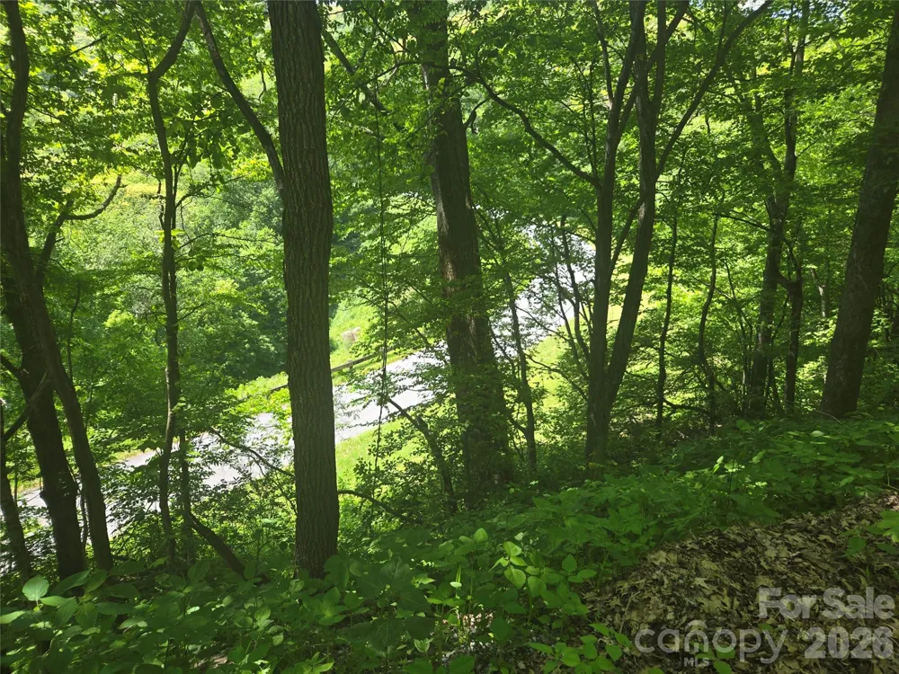 000 Greenspire Road Sylva, NC 28779
