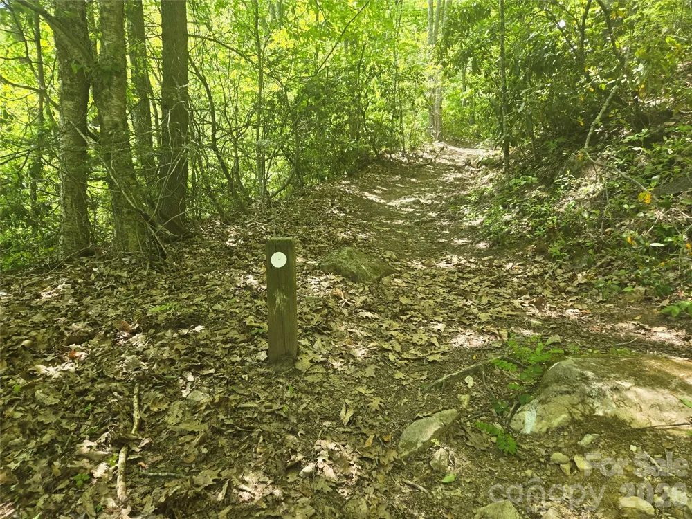 000 Greenspire Road Sylva, NC 28779
