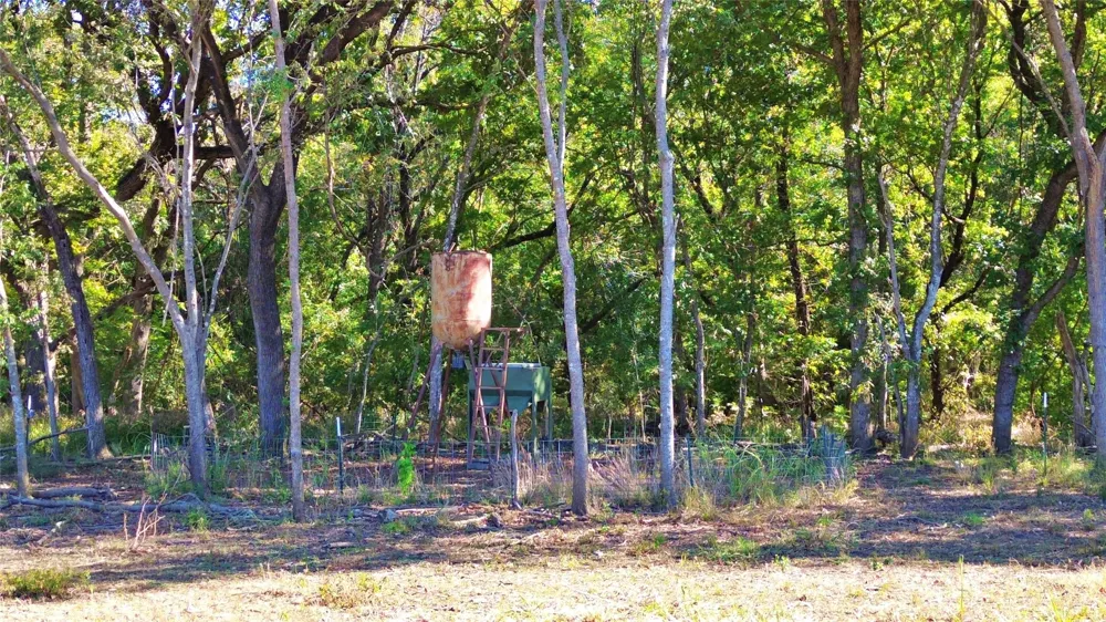 Bee Creek Road Grandview, TX 76050