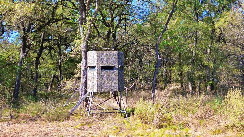 Bee Creek Road Grandview, TX 76050
