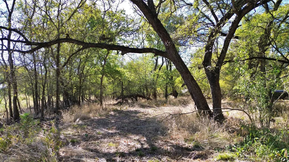 Bee Creek Road Grandview, TX 76050