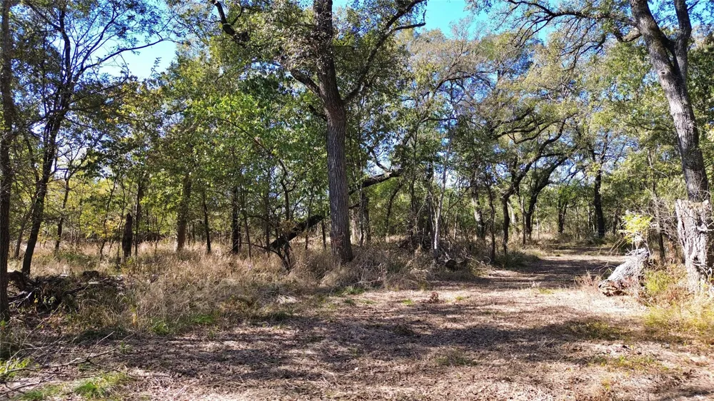 Bee Creek Road Grandview, TX 76050