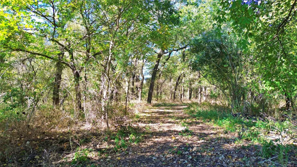 Bee Creek Road Grandview, TX 76050