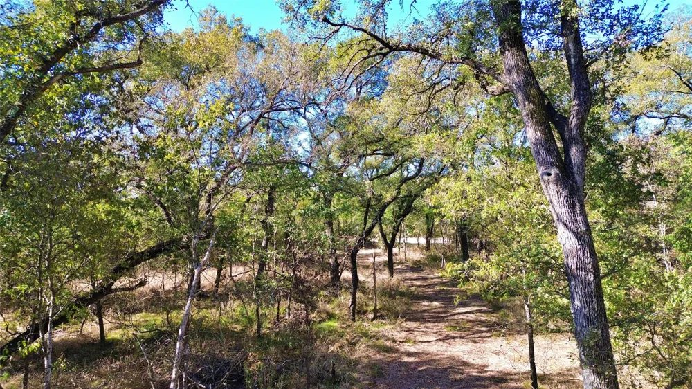 Bee Creek Road Grandview, TX 76050