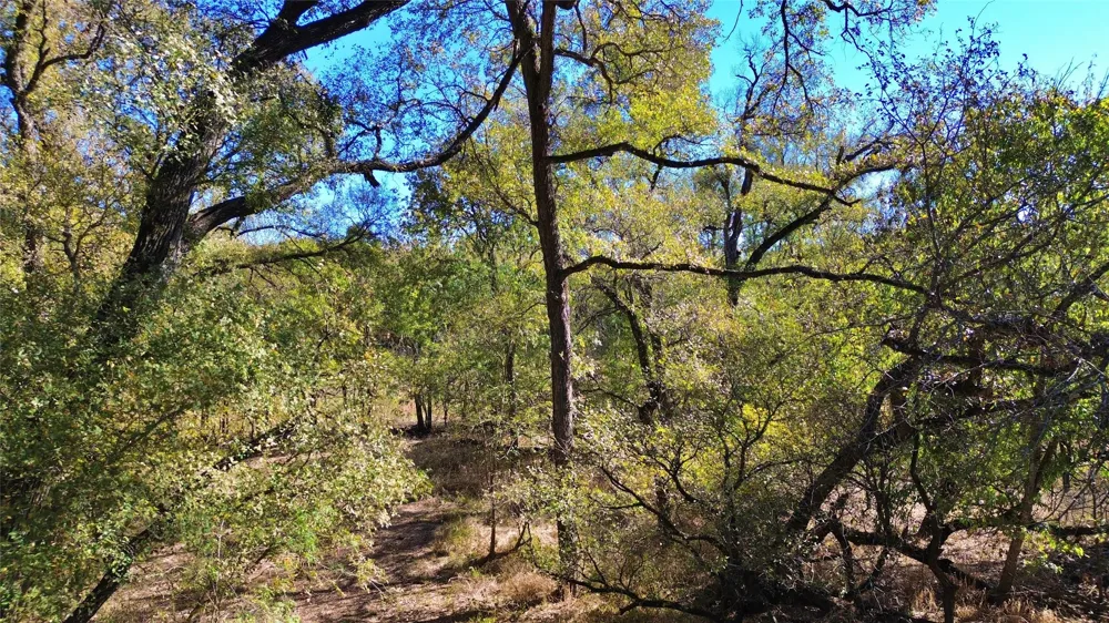 Bee Creek Road Grandview, TX 76050