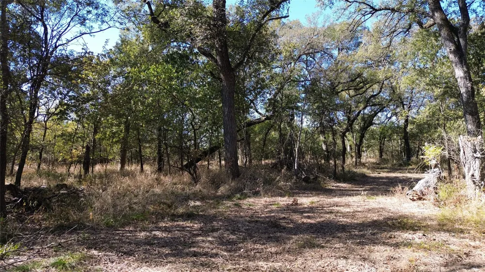 Bee Creek Road Grandview, TX 76050