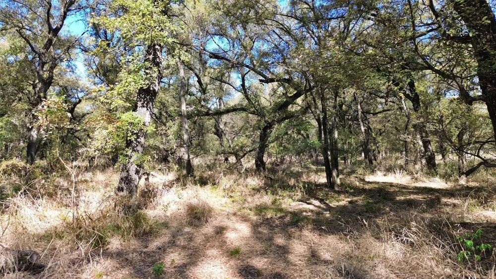 Bee Creek Road Grandview, TX 76050