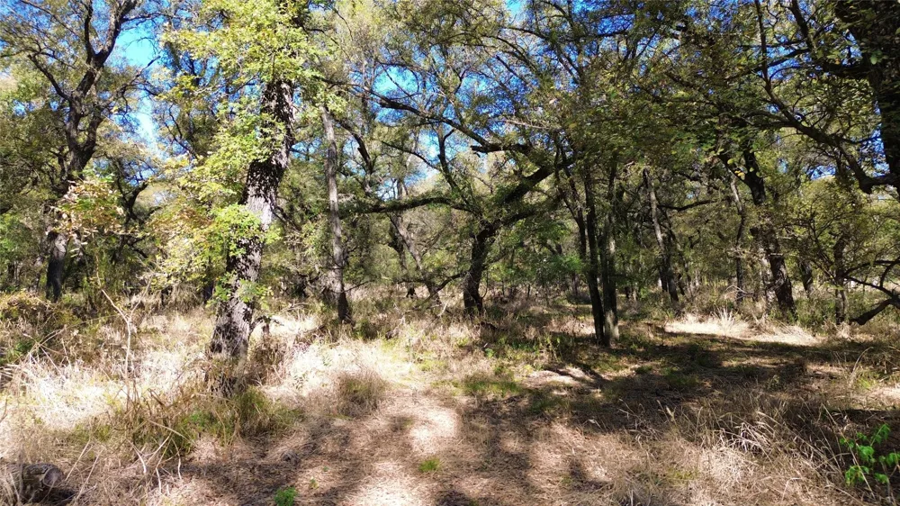 Bee Creek Road Grandview, TX 76050