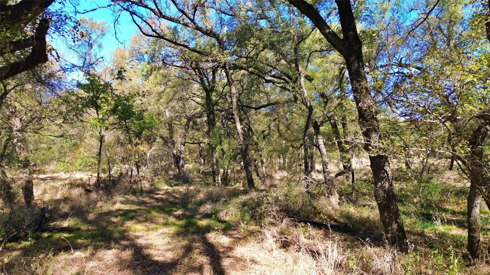 Bee Creek Road Grandview, TX 76050