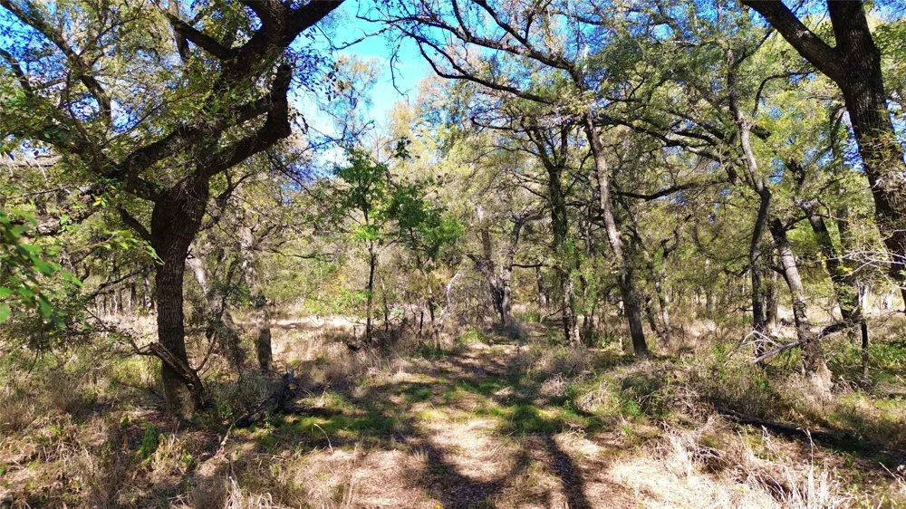 Bee Creek Road Grandview, TX 76050