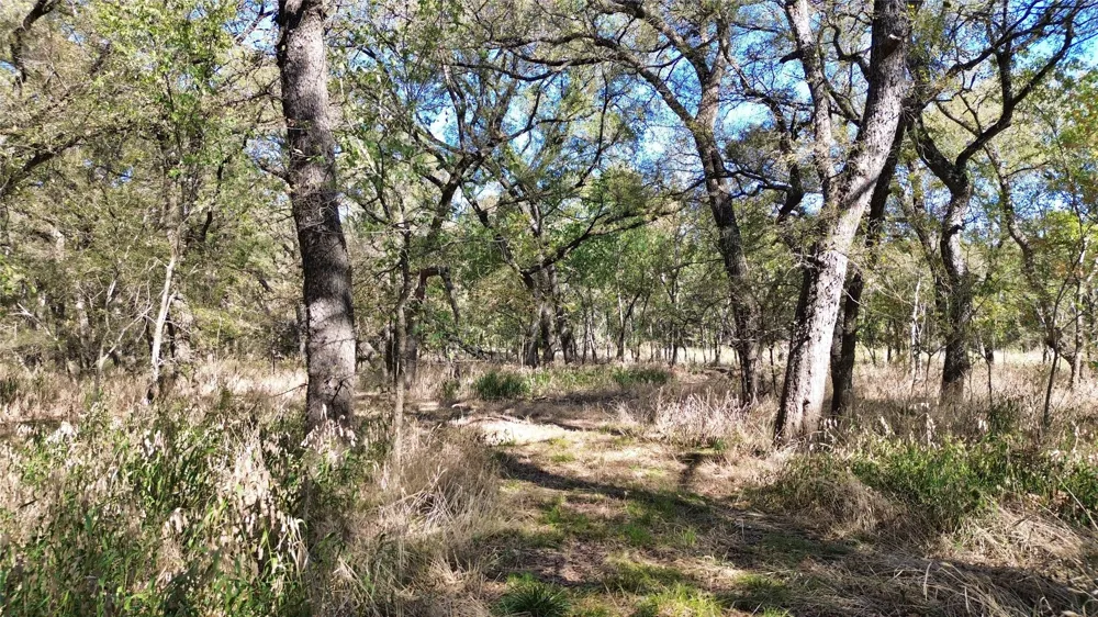 Bee Creek Road Grandview, TX 76050