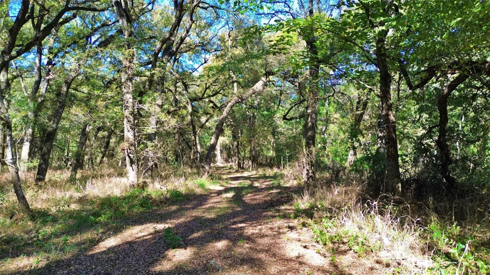 Bee Creek Road Grandview, TX 76050