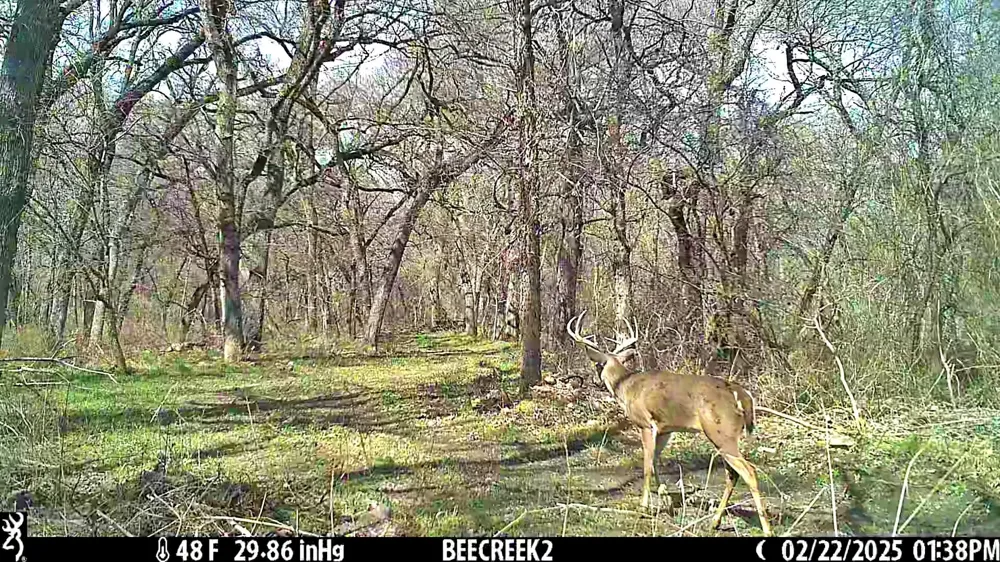 Bee Creek Road Grandview, TX 76050