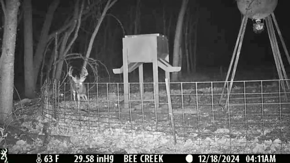 Bee Creek Road Grandview, TX 76050