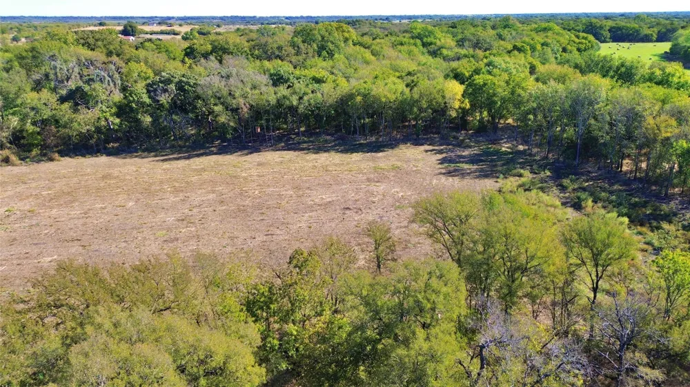 Bee Creek Road Grandview, TX 76050