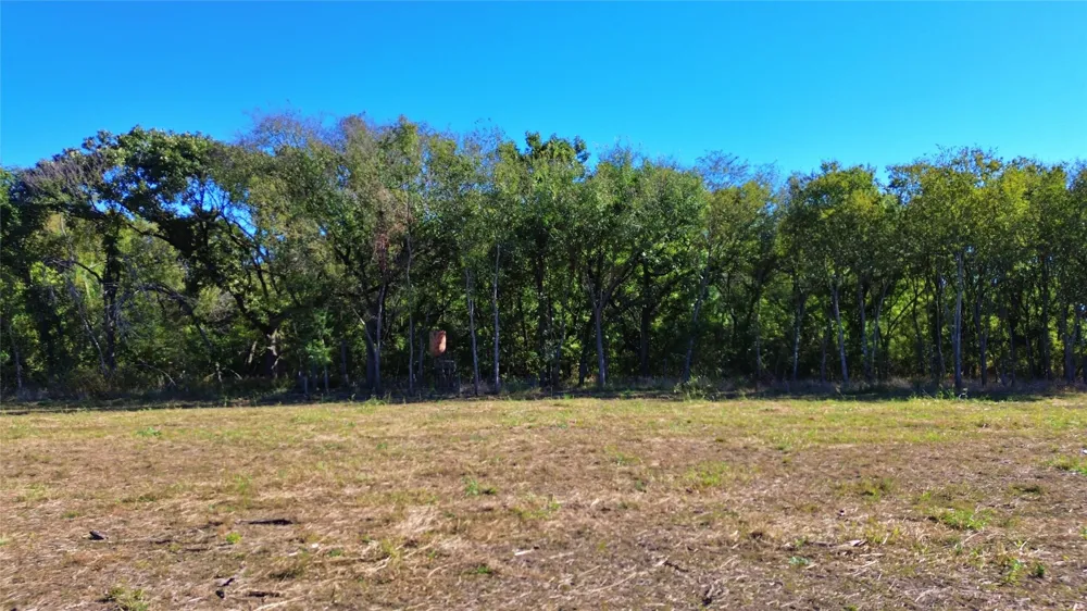Bee Creek Road Grandview, TX 76050