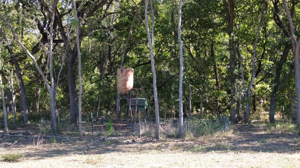 Bee Creek Road Grandview, TX 76050