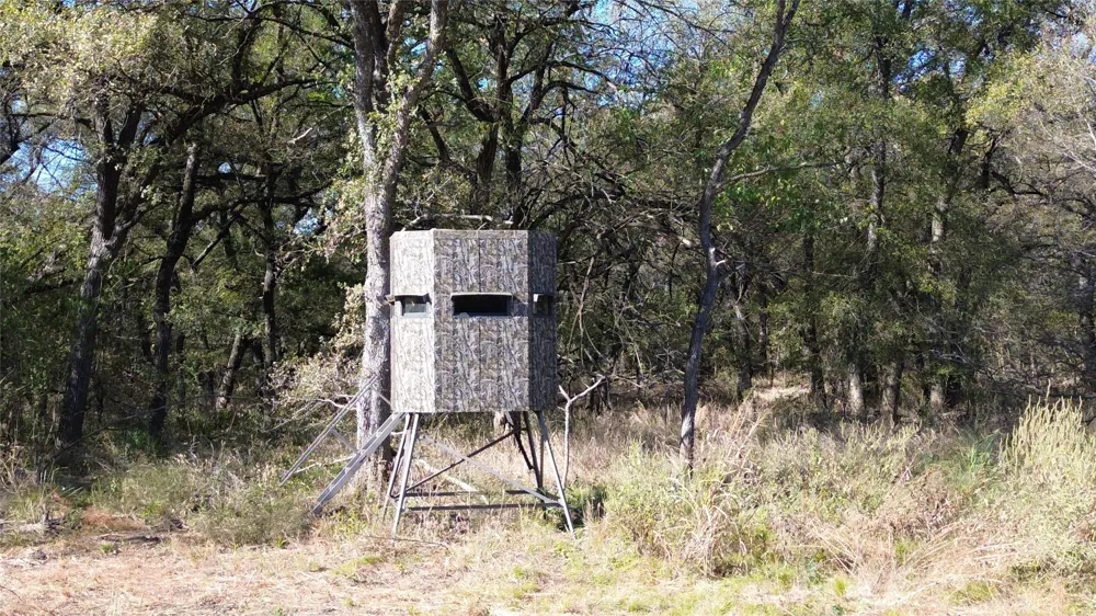 Bee Creek Road Grandview, TX 76050