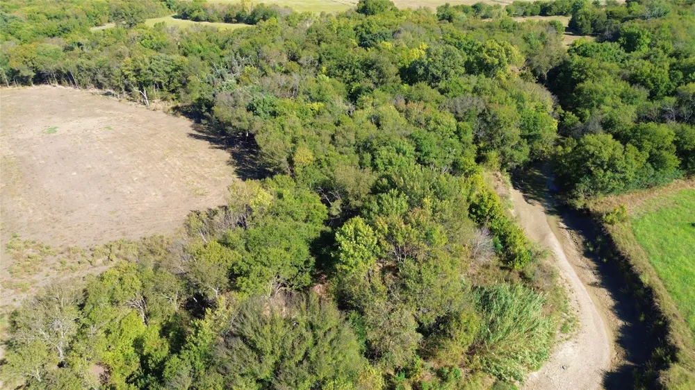 Bee Creek Road Grandview, TX 76050