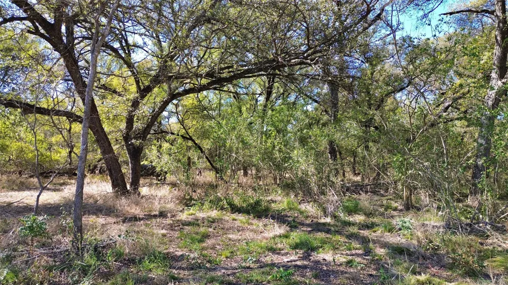 Bee Creek Road Grandview, TX 76050
