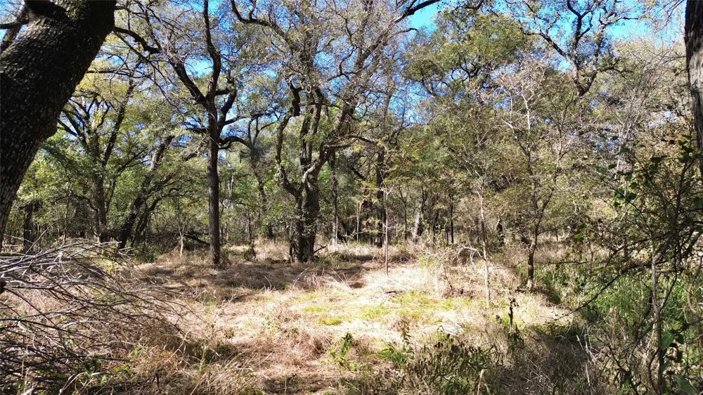 Bee Creek Road Grandview, TX 76050
