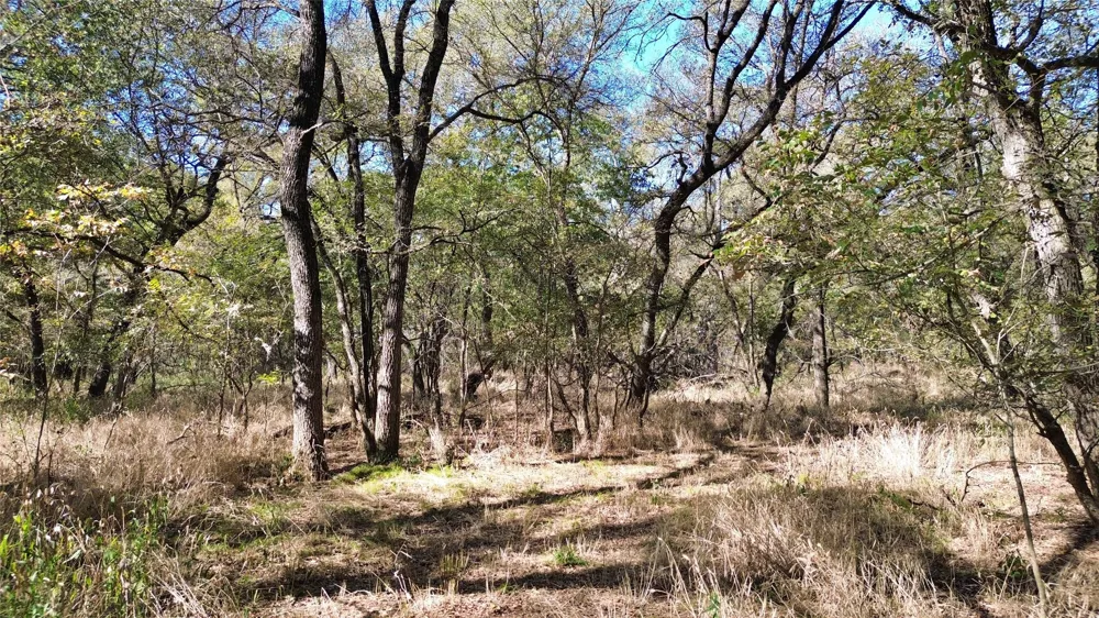 Bee Creek Road Grandview, TX 76050