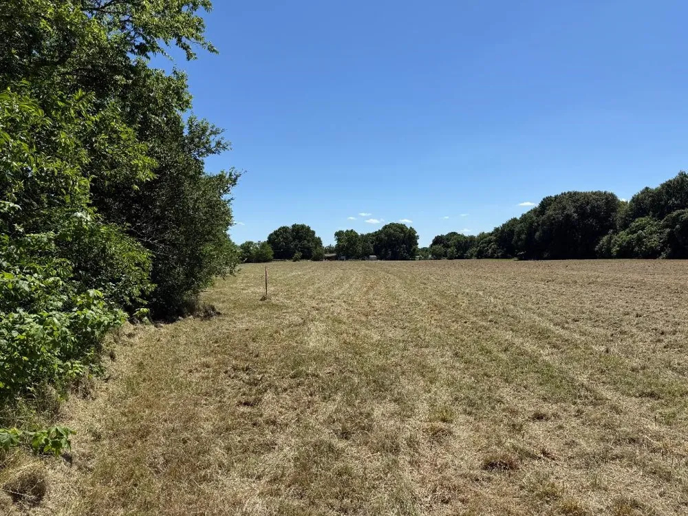 CR 4072 Kemp, TX 75143