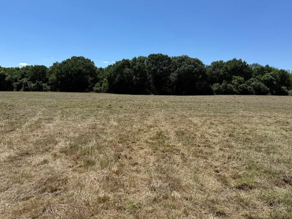 CR 4072 Kemp, TX 75143