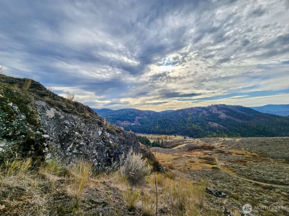 48 Oleander Road Republic, WA 99166