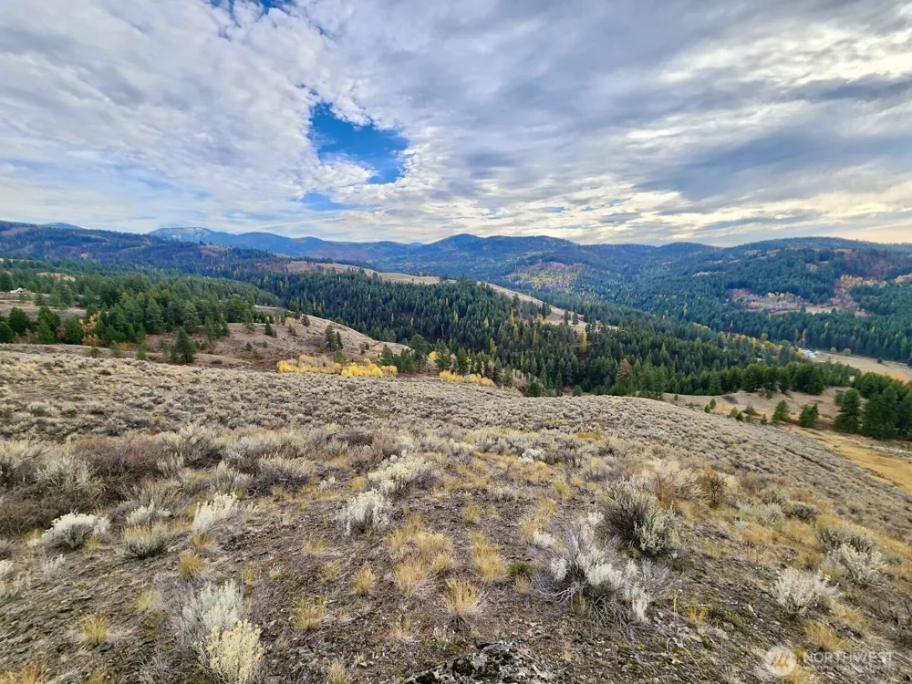 48 Oleander Road Republic, WA 99166