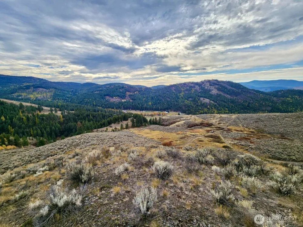48 Oleander Road Republic, WA 99166