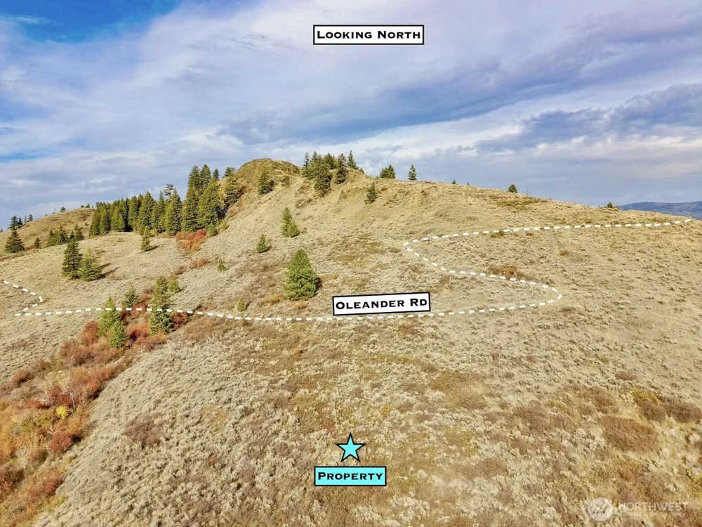 48 Oleander Road Republic, WA 99166