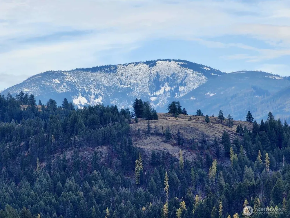 48 Oleander Road Republic, WA 99166