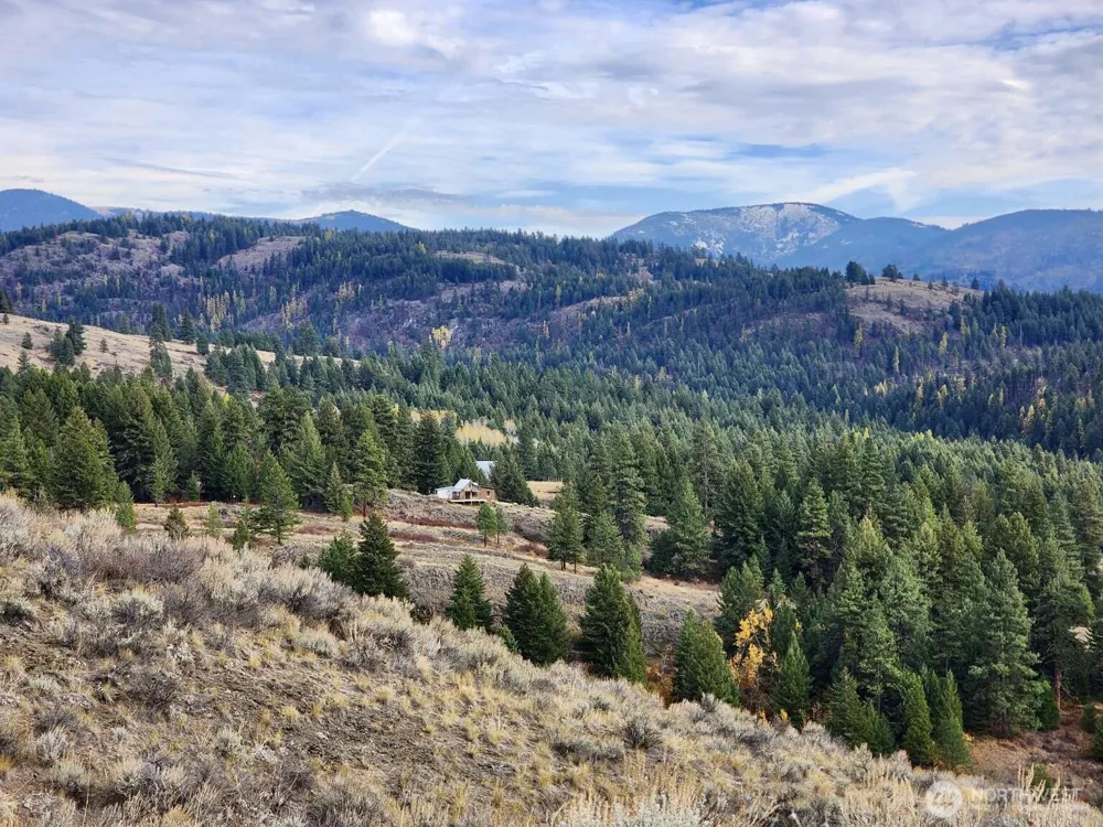 48 Oleander Road Republic, WA 99166